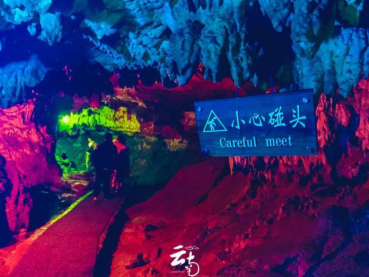 动物帮帮忙保卫家园