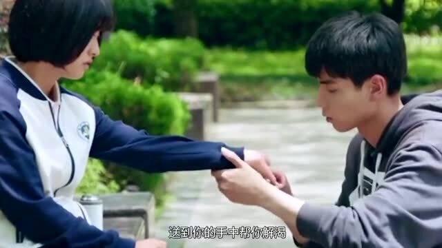 如果给你一千万和一把菜刀,你会愿意和一只东北虎较量吗?知识星球-探索、交流、分享之地