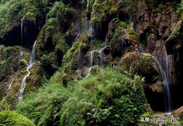 莴笋怎么腌制好吃又简单红迪网平台-精彩内容尽在莴笋怎么腌制好吃又简单